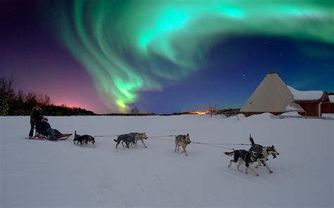 Are there pet-friendly cruises that offer scenic views of the Northern Lights?